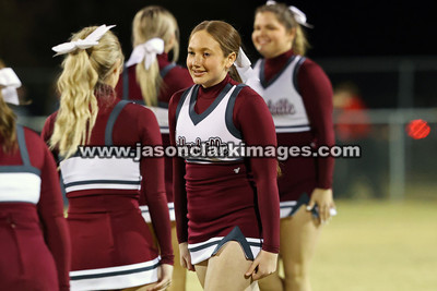 AHSAA: Lynn Bears at Hubbertville Lions