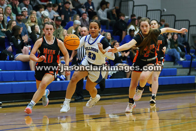 AHSAA: Meek at Carbon Hill