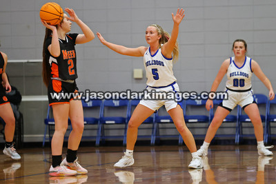 AHSAA: Meek at Carbon Hill