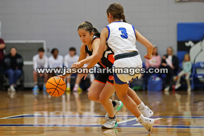 AHSAA: Meek at Carbon Hill