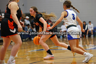 AHSAA: Meek at Carbon Hill