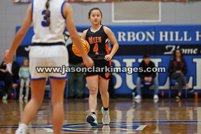 AHSAA: Meek at Carbon Hill