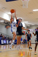 AHSAA: Walker County Basketball Tournament