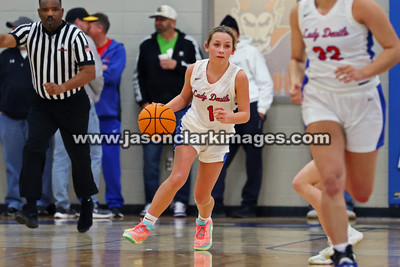 AHSAA: Walker County Basketball Tournament