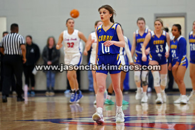 AHSAA: Walker County Basketball Tournament