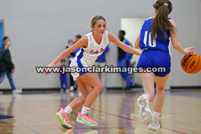AHSAA: Walker County Basketball Tournament