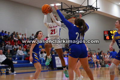 AHSAA: Walker County Basketball Tournament