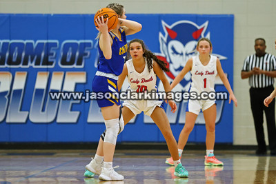 AHSAA: Walker County Basketball Tournament