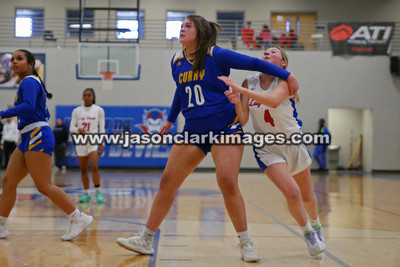 AHSAA: Walker County Basketball Tournament