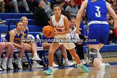 AHSAA: Walker County Basketball Tournament