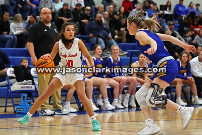 AHSAA: Walker County Basketball Tournament