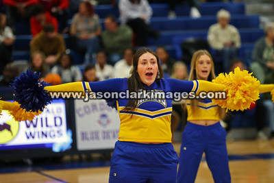 AHSAA: Walker County Basketball Tournament