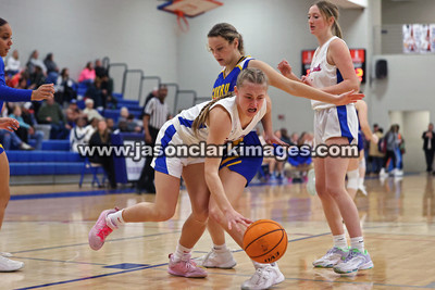AHSAA: Walker County Basketball Tournament