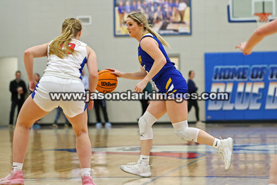 AHSAA: Walker County Basketball Tournament