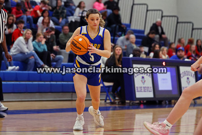 AHSAA: Walker County Basketball Tournament