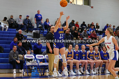 AHSAA: Walker County Basketball Tournament