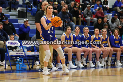 AHSAA: Walker County Basketball Tournament