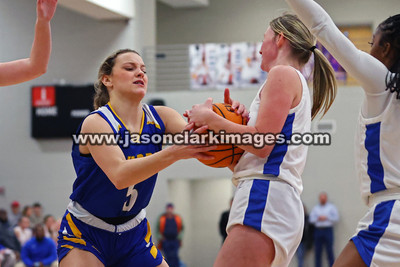 AHSAA: Walker County Basketball Tournament