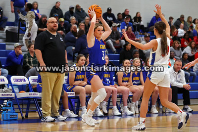 AHSAA: Walker County Basketball Tournament