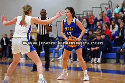 AHSAA: Walker County Basketball Tournament