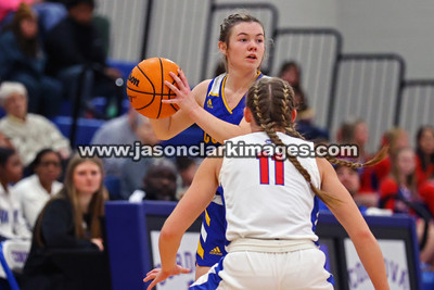 AHSAA: Walker County Basketball Tournament