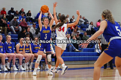 AHSAA: Walker County Basketball Tournament