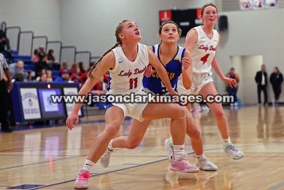 AHSAA: Walker County Basketball Tournament