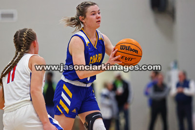 AHSAA: Walker County Basketball Tournament