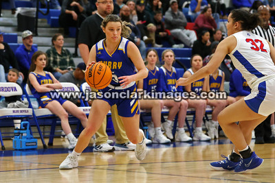 AHSAA: Walker County Basketball Tournament