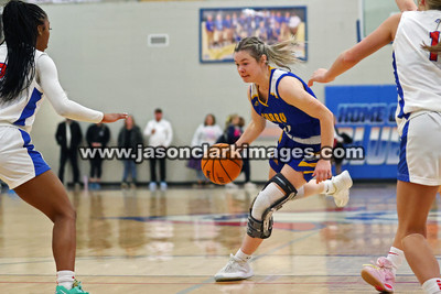 AHSAA: Walker County Basketball Tournament