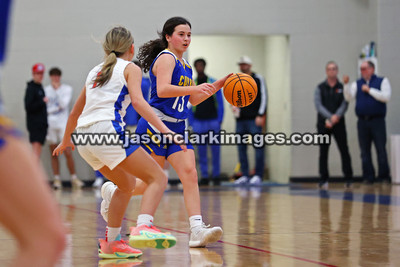 AHSAA: Walker County Basketball Tournament