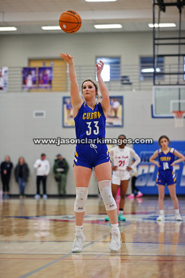 AHSAA: Walker County Basketball Tournament