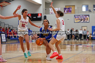 AHSAA: Walker County Basketball Tournament