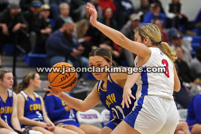 AHSAA: Walker County Basketball Tournament