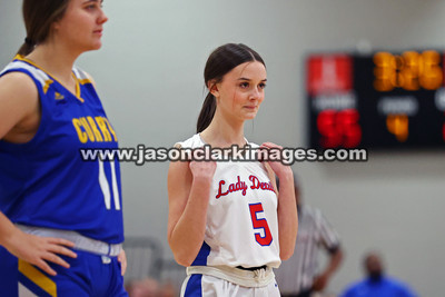 AHSAA: Walker County Basketball Tournament
