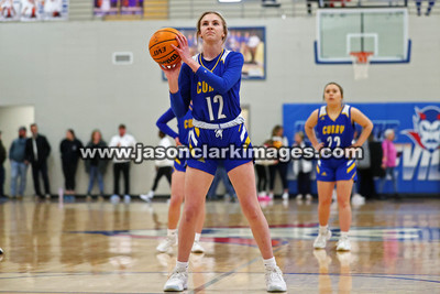 AHSAA: Walker County Basketball Tournament