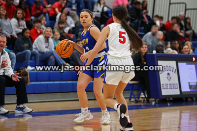 AHSAA: Walker County Basketball Tournament