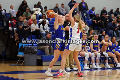 AHSAA: Walker County Basketball Tournament