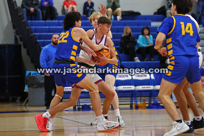 AHSAA: Walker County Basketball Tournament