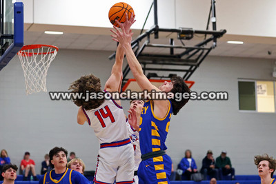 AHSAA: Walker County Basketball Tournament