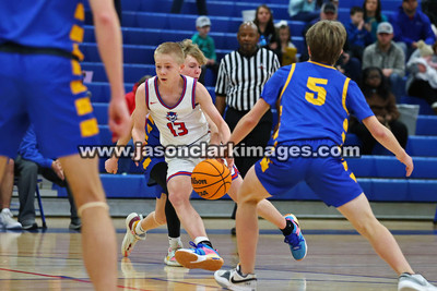 AHSAA: Walker County Basketball Tournament