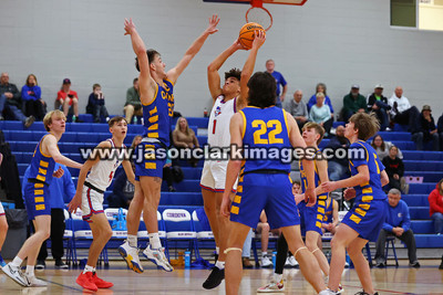 AHSAA: Walker County Basketball Tournament