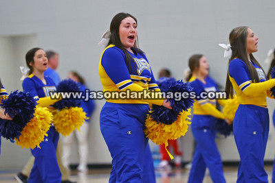 AHSAA: Walker County Basketball Tournament