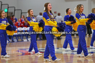AHSAA: Walker County Basketball Tournament