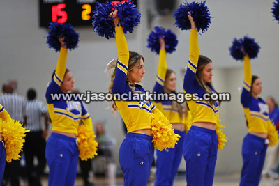 AHSAA: Walker County Basketball Tournament