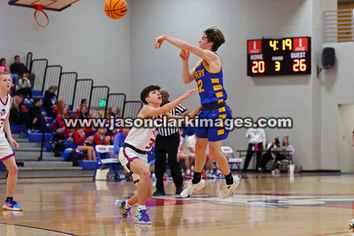 AHSAA: Walker County Basketball Tournament