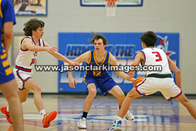 AHSAA: Walker County Basketball Tournament