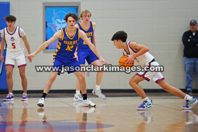 AHSAA: Walker County Basketball Tournament