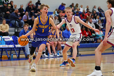 AHSAA: Walker County Basketball Tournament
