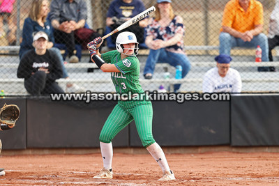 NJCAA: Andrews at Bevill State
